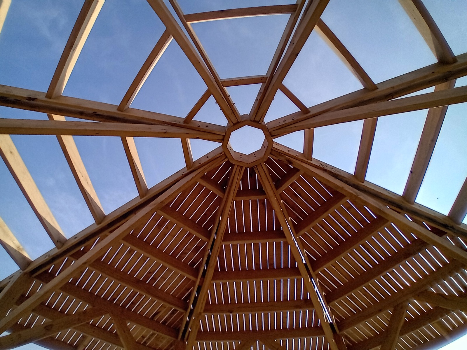 WhatsApp Image 2026-03-24 at 11.53.44