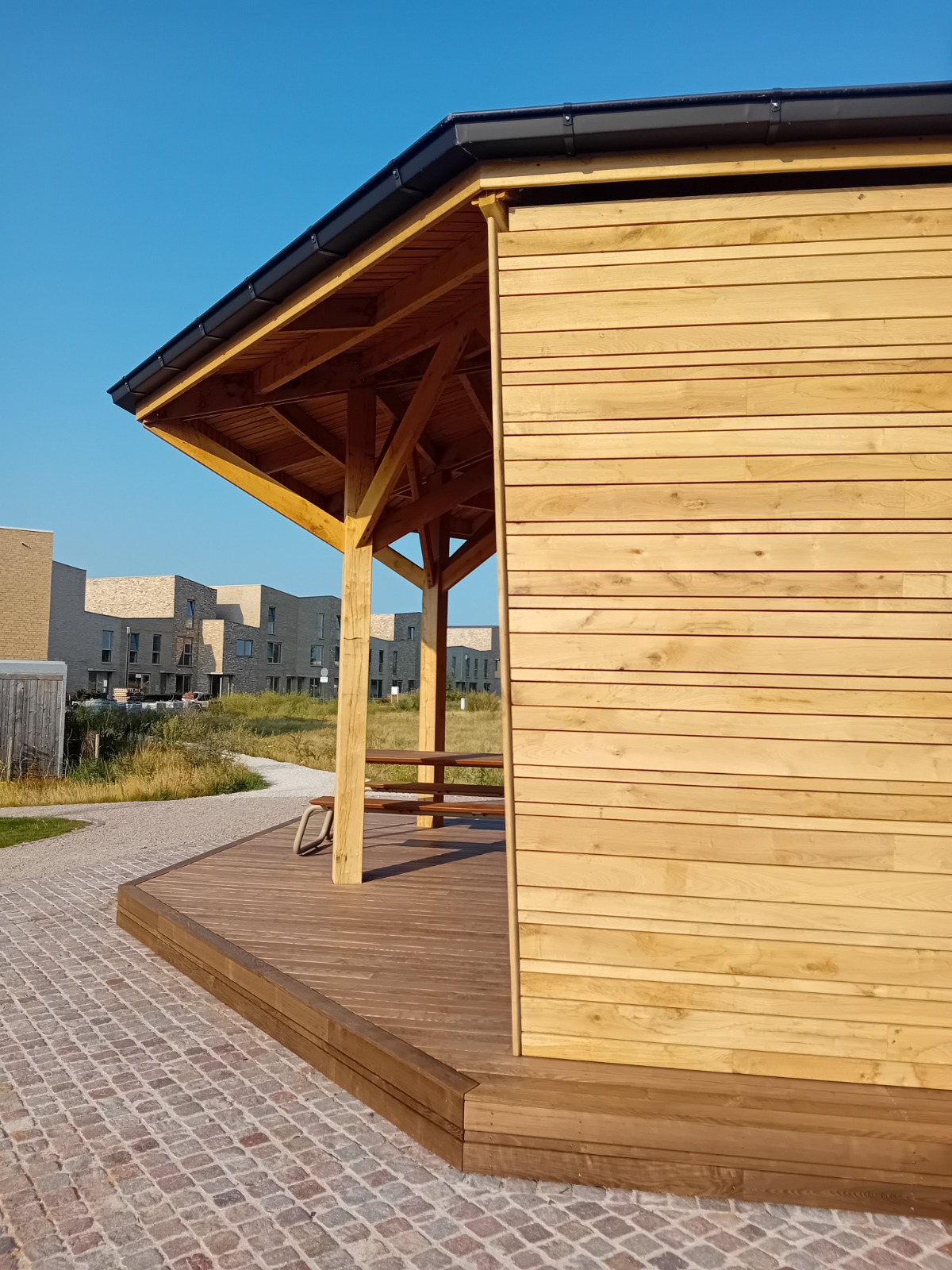 WhatsApp Image 2026-03-24 at 11.53.45 (2)